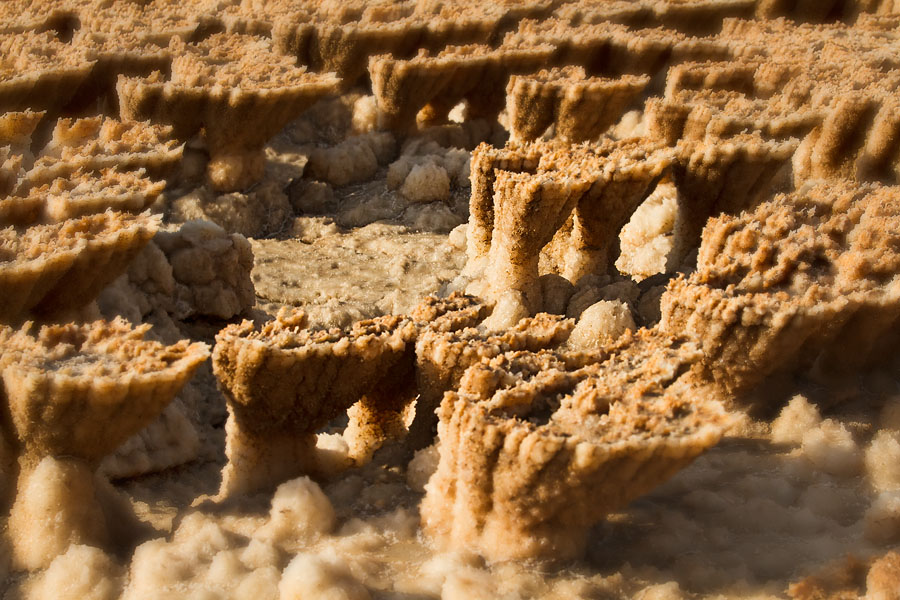  Salt sculptures at the Dallol Depression, also called Danakil Depression